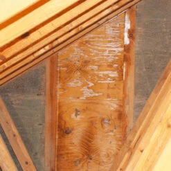 Best Mold Remover DIY Kit - RMR-141 Mold Killer & RMR-86 Mold Stain Remover -Home Appliances Store best mold remover diy kit rmr 141 mold killer and rmr 86 mold stain remover 03407.1665650305