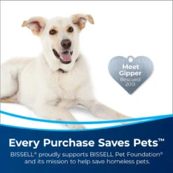 BISSELL CleanView Upright Powerful Lightweight Bagless Vacuum Cleaner | 2488 NEW -Home Appliances Store bissell cleanview upright powerful lightweight bagless vacuum cleaner or 2488 new 24297.1693357774