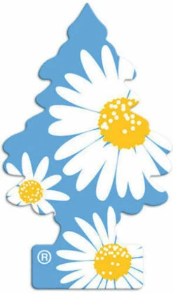 Little Trees Air Freshener Car Home Office Air Freshener (3 Pack) Every Scent -Home Appliances Store little trees air freshener car home office air freshener 3 pack every scent 62586.1719083101