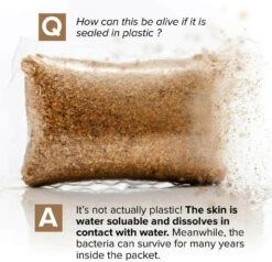 Septic Tank Treatment - 1 Year Supply Of Dissolvable Easy Flush Live Bacteria... -Home Appliances Store septic tank treatment 1 year supply of dissolvable easy flush live bacteria 18766.1673196549